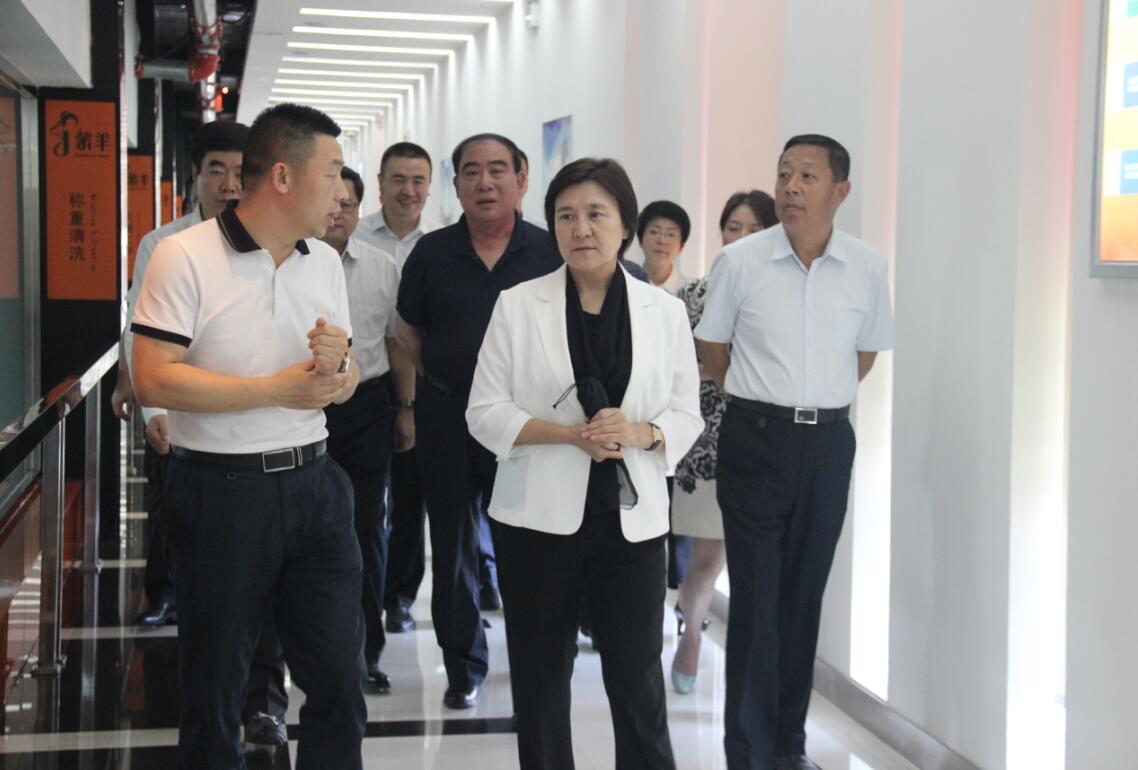 自治區(qū)黨委副書記、自治區(qū)主席布小林蒞臨協(xié)會會長單位——蒙羊牧業(yè)公司視察調(diào)研