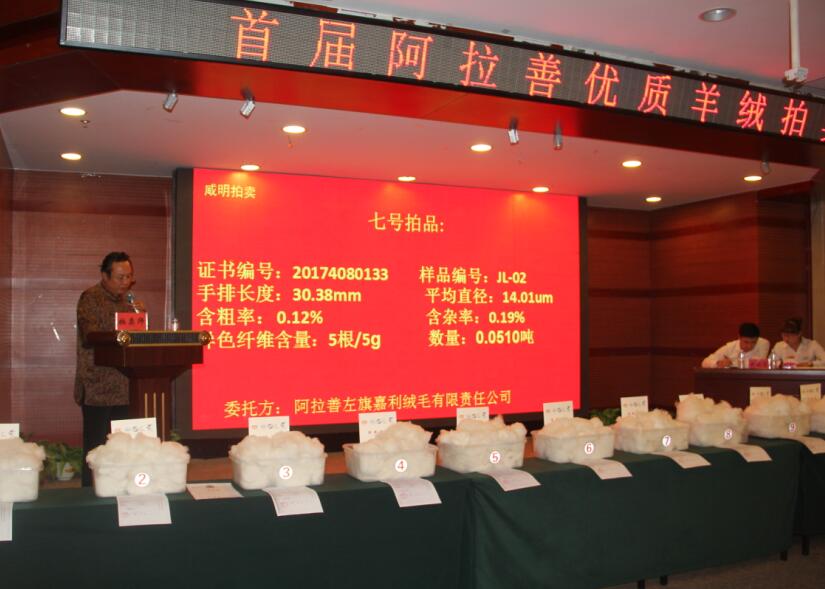 創(chuàng)新引領(lǐng)未來，品質(zhì)鑄就輝煌 首屆阿拉善優(yōu)質(zhì)羊絨拍賣會(huì)盛大舉行