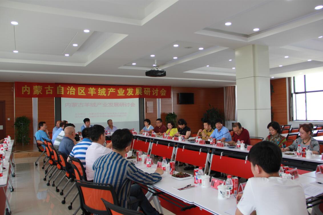 齊心協(xié)力，共謀內(nèi)蒙古羊絨產(chǎn)業(yè)發(fā)展新思路