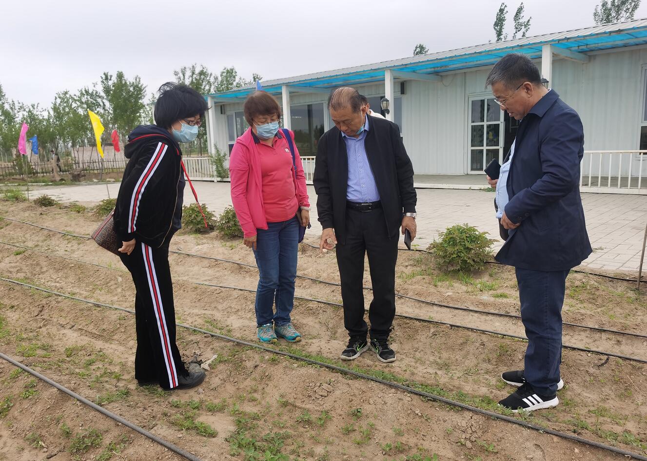 林永亮執(zhí)行會長到國豆公司考察調(diào)研