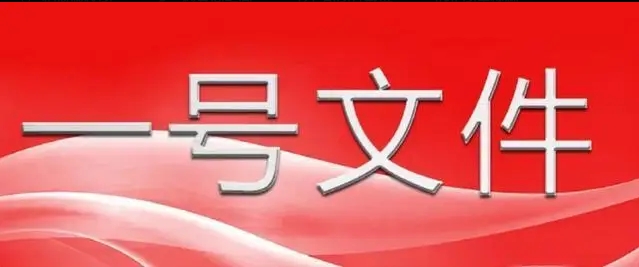 中共中央 國務院關于進一步深化農村改革 扎實推進鄉(xiāng)村全面振興的意見